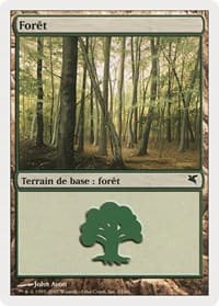 Forest (French) - "Foret" (B33) - Magic Encyclopedia 2005 (Salvat/Hachette) - Magic: The Gathering card