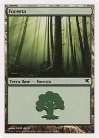 Forest (Italian) - "Foresta" (I34) - Magic Encyclopedia 2005 (Salvat/Hachette) - Magic: The Gathering card