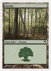 Forest (Italian) - "Foresta" (I35) - Magic Encyclopedia 2005 (Salvat/Hachette) - Magic: The Gathering card