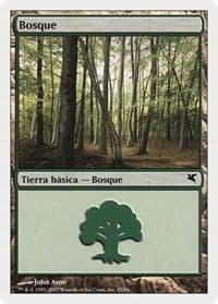 Forest (Spanish) - "Bosque" (I35) - Magic Encyclopedia 2005 (Salvat/Hachette) - Magic: The Gathering card