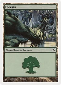 Forest (Italian) - "Foresta" (K34) - Magic Encyclopedia 2005 (Salvat/Hachette) - Magic: The Gathering card