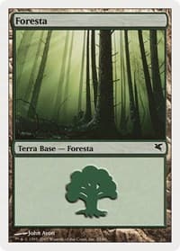 Forest (Italian) - "Foresta" (K33) - Magic Encyclopedia 2005 (Salvat/Hachette) - Magic: The Gathering card
