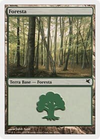 Forest (Italian) - "Foresta" (B45) - Magic Encyclopedia 2005 (Salvat/Hachette) - Magic: The Gathering card