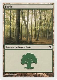 Forest (French) - "Foret" (B45) - Magic Encyclopedia 2005 (Salvat/Hachette) - Magic: The Gathering card