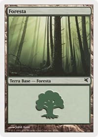 Forest (Italian) - "Foresta" (J45) - Magic Encyclopedia 2005 (Salvat/Hachette) - Magic: The Gathering card