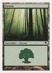 Forest (Italian) - "Foresta" (I47) - Magic Encyclopedia 2005 (Salvat/Hachette) - Magic: The Gathering card