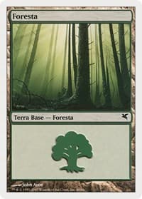 Forest (Italian) - "Foresta" (B48) - Magic Encyclopedia 2005 (Salvat/Hachette) - Magic: The Gathering card