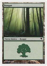 Forest (Spanish) - "Bosque" (B48) - Magic Encyclopedia 2005 (Salvat/Hachette) - Magic: The Gathering card