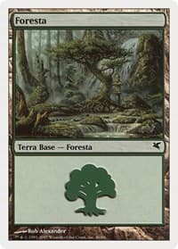 Forest (Italian) - "Foresta" (K46) - Magic Encyclopedia 2005 (Salvat/Hachette) - Magic: The Gathering card