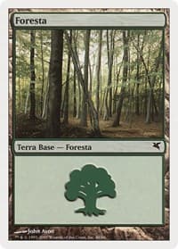 Forest (Italian) - "Foresta" (I48) - Magic Encyclopedia 2005 (Salvat/Hachette) - Magic: The Gathering card