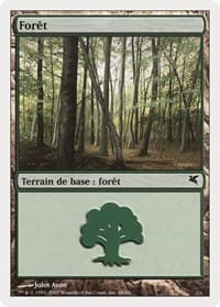 Forest (French) - "Foret" (I48) - Magic Encyclopedia 2005 (Salvat/Hachette) - Magic: The Gathering card