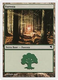 Forest (Italian) - "Foresta" (B58) - Magic Encyclopedia 2005 (Salvat/Hachette) - Magic: The Gathering card