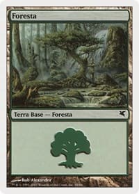 Forest (Italian) - "Foresta" (K58) - Magic Encyclopedia 2005 (Salvat/Hachette) - Magic: The Gathering card
