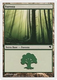 Forest (Italian) - "Foresta" (B59) - Magic Encyclopedia 2005 (Salvat/Hachette) - Magic: The Gathering card
