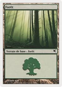 Forest (French) - "Foret" (D59) - Magic Encyclopedia 2005 (Salvat/Hachette) - Magic: The Gathering card