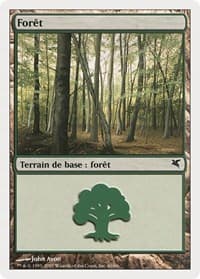 Forest (French) - "Foret" (D60) - Magic Encyclopedia 2005 (Salvat/Hachette) - Magic: The Gathering card
