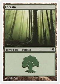 Forest (Italian) - "Foresta" (I60) - Magic Encyclopedia 2005 (Salvat/Hachette) - Magic: The Gathering card