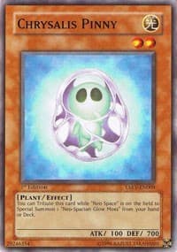 Chrysalis Pinny - Tactical Evolution - YuGiOh card