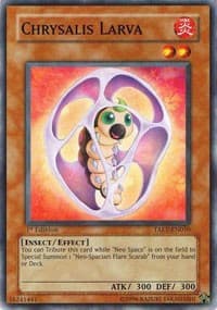 Chrysalis Larva - Tactical Evolution - YuGiOh card