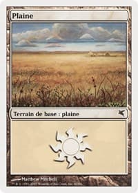 Plains (French) - "Plaine" (J60) - Magic Encyclopedia 2005 (Salvat/Hachette) - Magic: The Gathering card