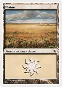 Plains (French) - "Plaine" (C46) - Magic Encyclopedia 2005 (Salvat/Hachette) - Magic: The Gathering card