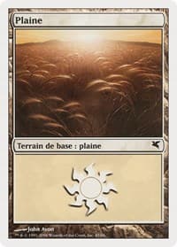 Plains (French) - "Plaine" (G45) - Magic Encyclopedia 2005 (Salvat/Hachette) - Magic: The Gathering card