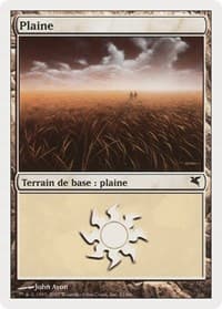 Plains (French) - "Plaine" (J11) - Magic Encyclopedia 2005 (Salvat/Hachette) - Magic: The Gathering card