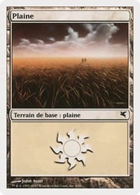 Plains (French) - "Plaine" (C8) - Magic Encyclopedia 2005 (Salvat/Hachette) - Magic: The Gathering card
