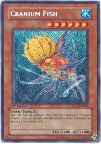 Cranium Fish - Tactical Evolution - YuGiOh card