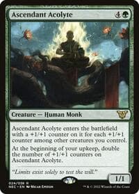 Ascendant Acolyte - Commander: Kamigawa: Neon Dynasty - Magic: The Gathering card