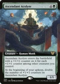 Ascendant Acolyte (Extended Art) - Commander: Kamigawa: Neon Dynasty - Magic: The Gathering card