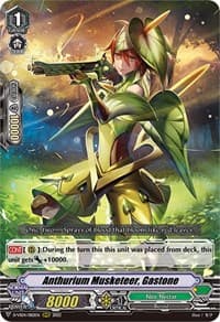 Anthurium Musketeer, Gastone - D-VS04: V Clan Collection Vol.4 - Cardfight Vanguard card