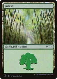 Forest (579) - Secret Lair Drop Series - Magic: The Gathering card