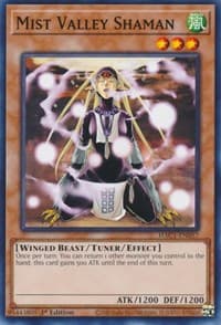 Mist Valley Shaman - Hidden Arsenal: Chapter 1 - YuGiOh card