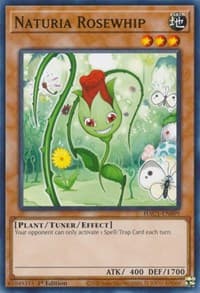 Naturia Rosewhip - Hidden Arsenal: Chapter 1 - YuGiOh card