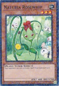 Naturia Rosewhip (Duel Terminal) - Hidden Arsenal: Chapter 1 - YuGiOh card