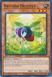Naturia Fruitfly - Hidden Arsenal: Chapter 1 - YuGiOh card