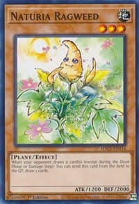 Naturia Ragweed - Hidden Arsenal: Chapter 1 - YuGiOh card