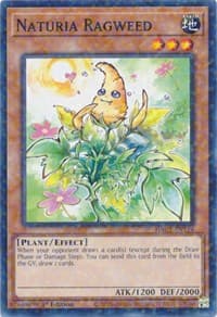 Naturia Ragweed (Duel Terminal) - Hidden Arsenal: Chapter 1 - YuGiOh card