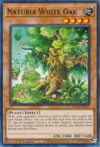 Naturia White Oak - Hidden Arsenal: Chapter 1 - YuGiOh card