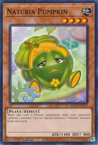Naturia Pumpkin - Hidden Arsenal: Chapter 1 - YuGiOh card