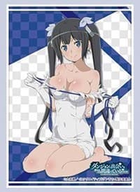 Bushiroad Sleeve Collection HG Vol. 3114: Is It Wrong to Try to Pick Up Girls in a Dungeon? - Hestia (75-Pack) - Bushiroad Card Sleeves - Card Sleeves card