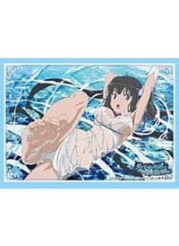 Bushiroad Sleeve Collection HG Vol. 3115: Is It Wrong to Try to Pick Up Girls in a Dungeon? - Hestia (75-Pack) - Bushiroad Card Sleeves - Card Sleeves card