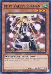 Mist Valley Shaman (Duel Terminal) - Hidden Arsenal: Chapter 1 - YuGiOh card