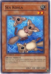 Sea Koala - Phantom Darkness - YuGiOh card