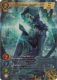 Sundown Druid (Full Art) - Become the Hero! - Gate Ruler card