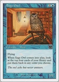 Sage Owl - Classic Sixth Edition - Magic: The Gathering card
