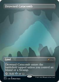 Drowned Catacomb - Secret Lair Drop Series - Magic: The Gathering card