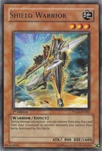 Shield Warrior - The Duelist Genesis - YuGiOh card