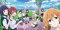 Bushiroad Rubber Mat Collection V2 Vol.328: Love Live! Nijigasaki High School Idol Club - Bushiroad Playmats - Playmats card